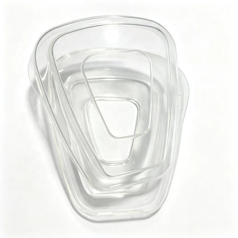 Protective mask filter  0204001