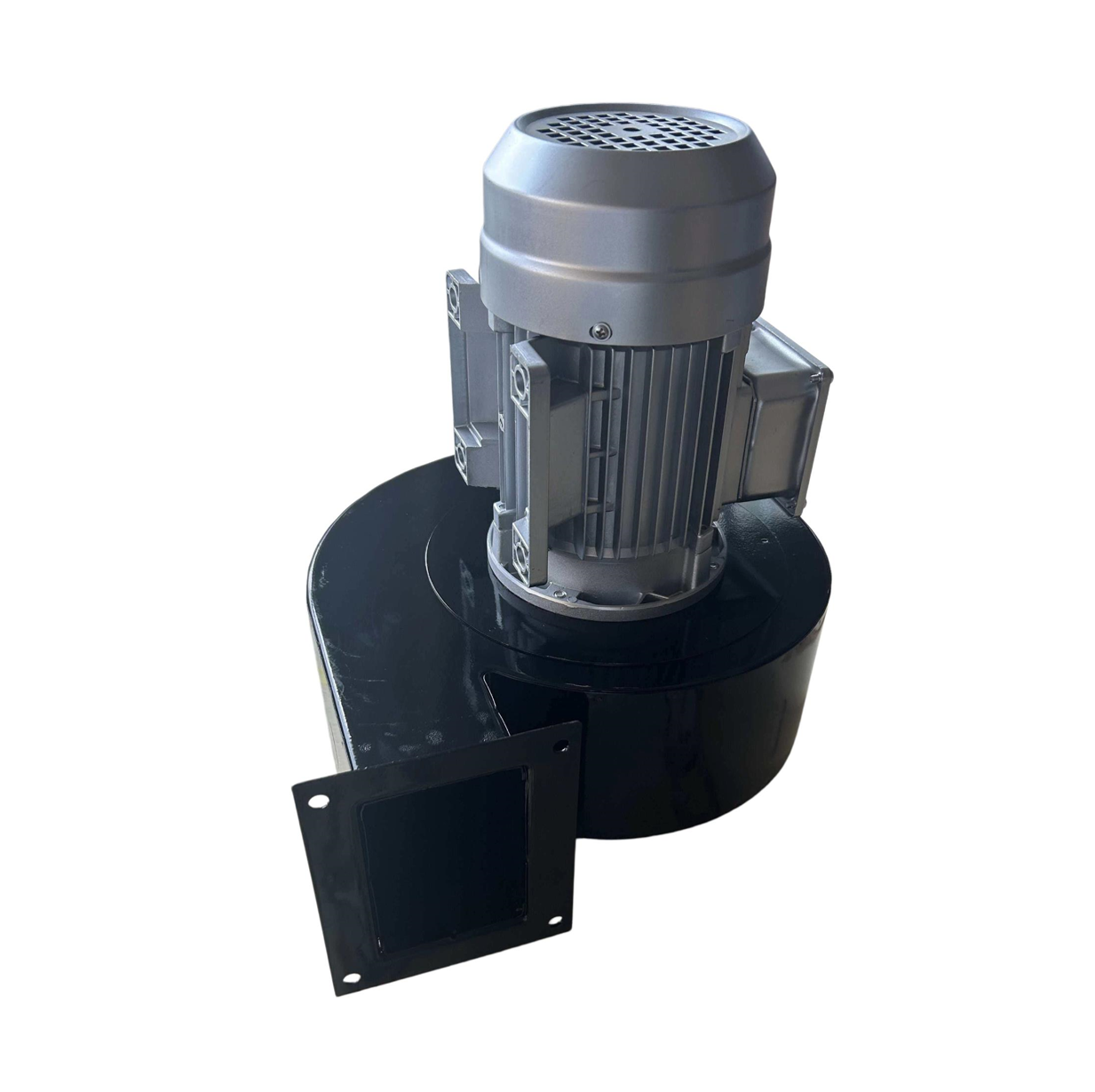 Electric blower 0307006