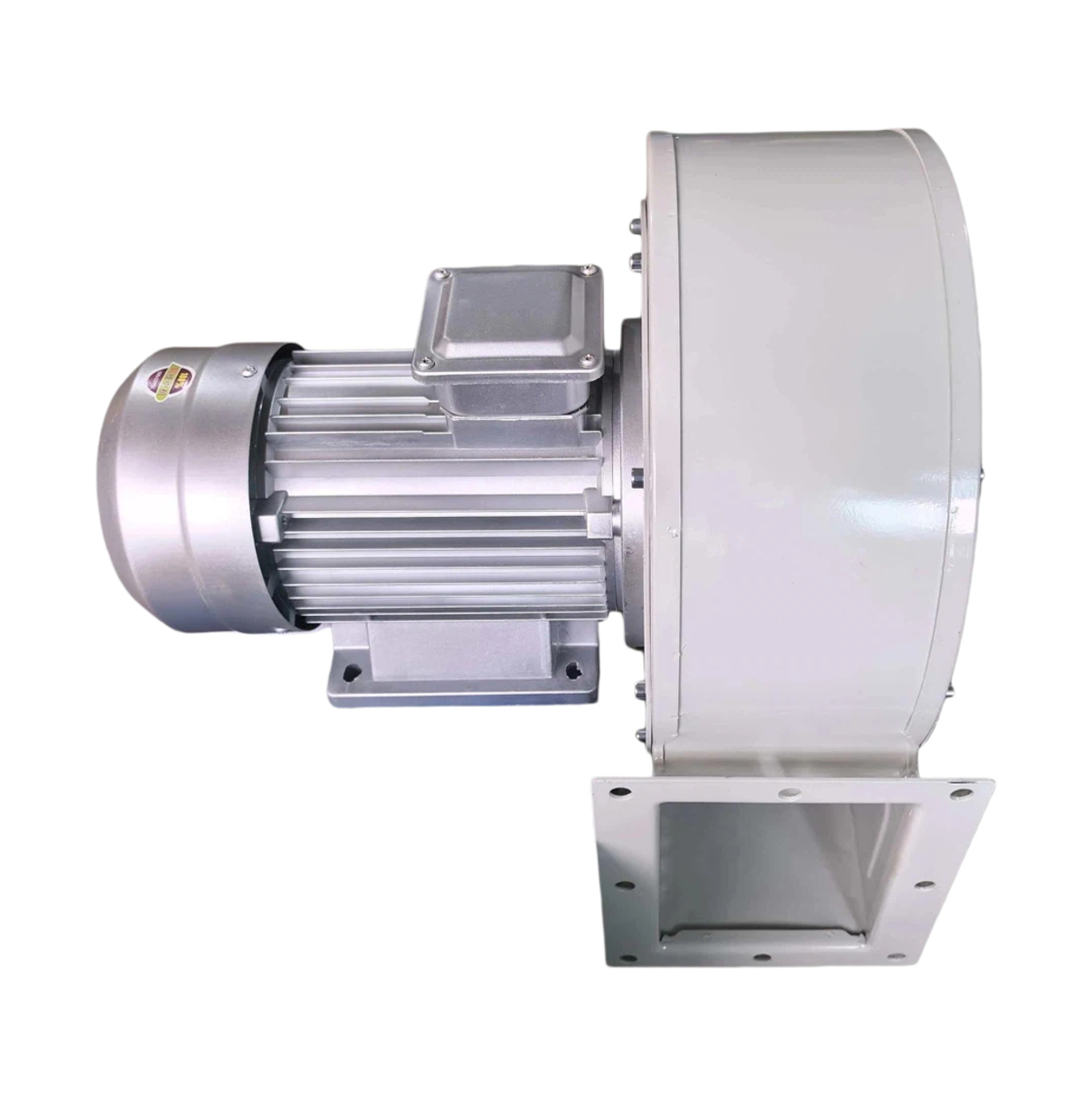 Electric blower 0307006