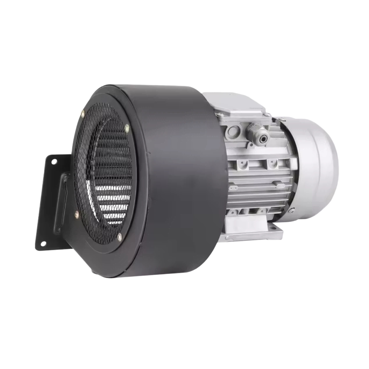 Electric blower 0307006