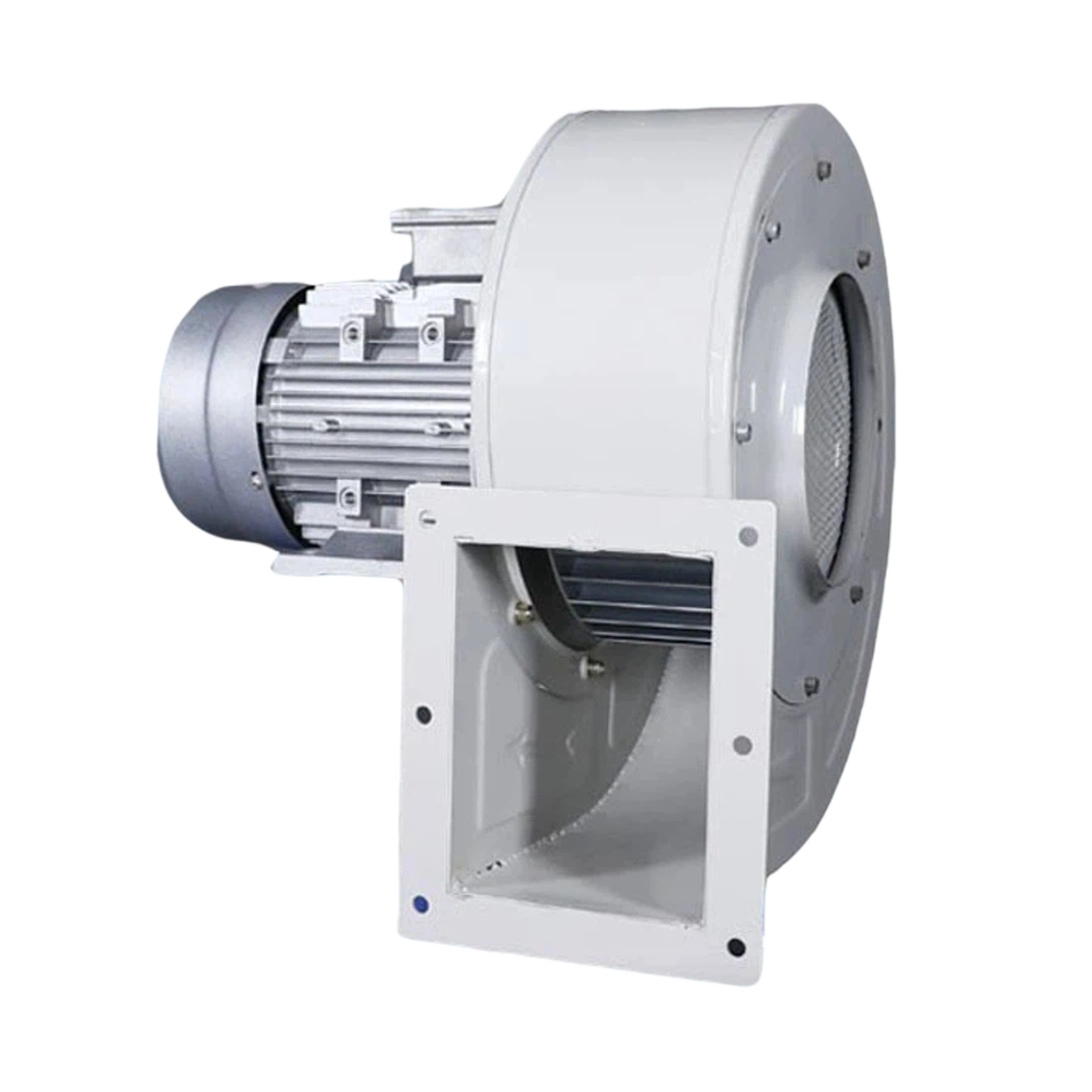 Electric blower 0307006