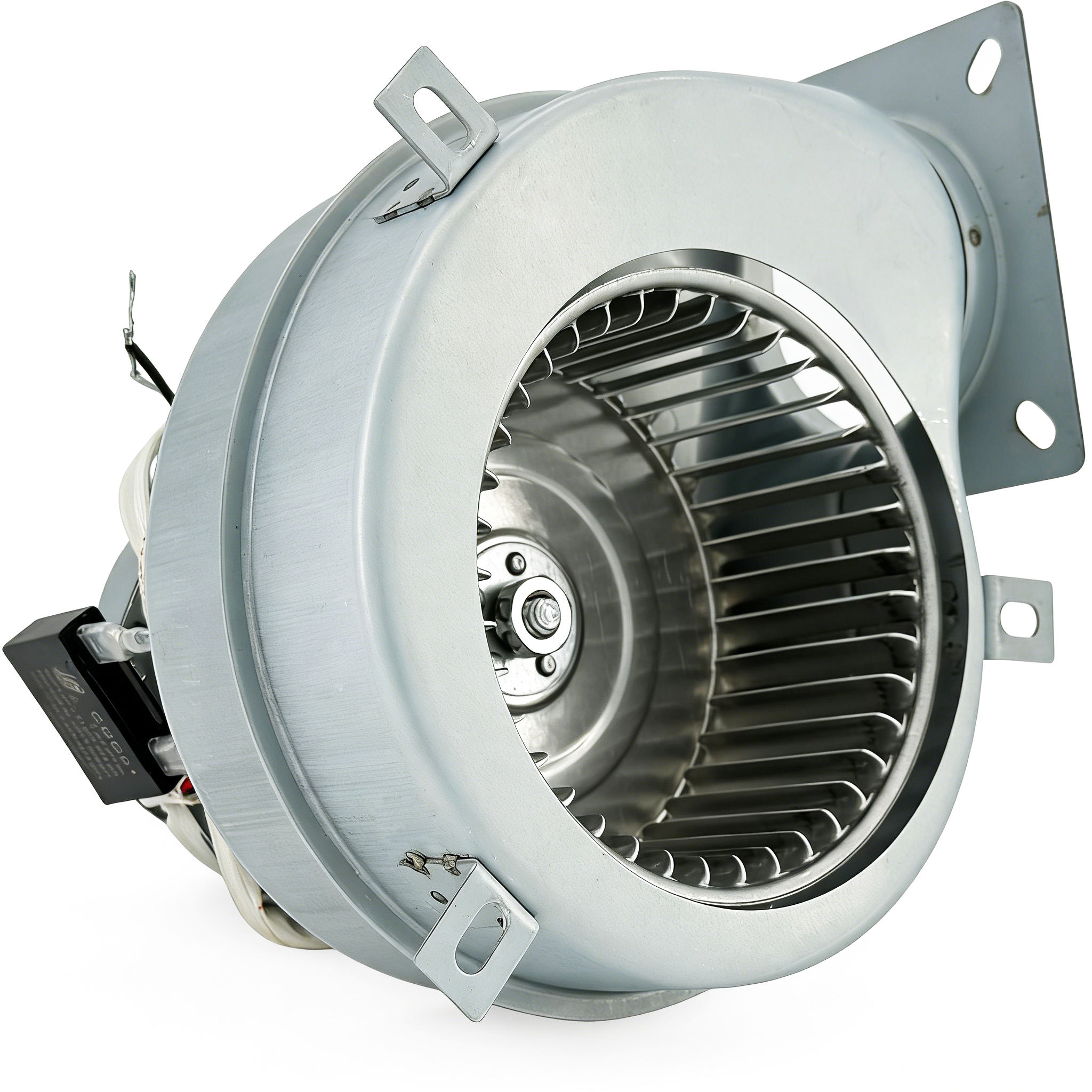 Electric blower 0307011